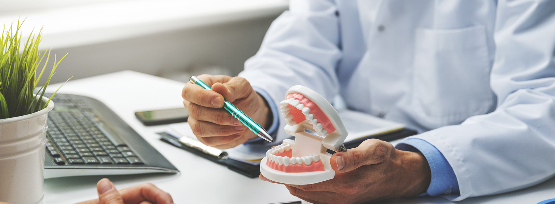 Brian J. Rosen, DDS | Preventative Program, Oral Exams and Emergency Treatment