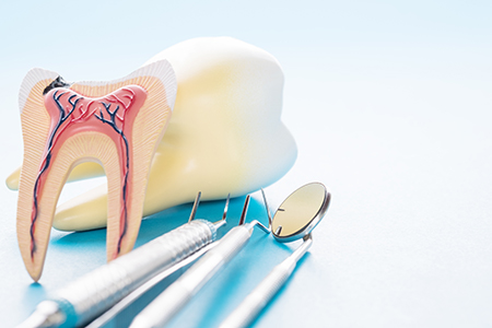 Brian J. Rosen, DDS